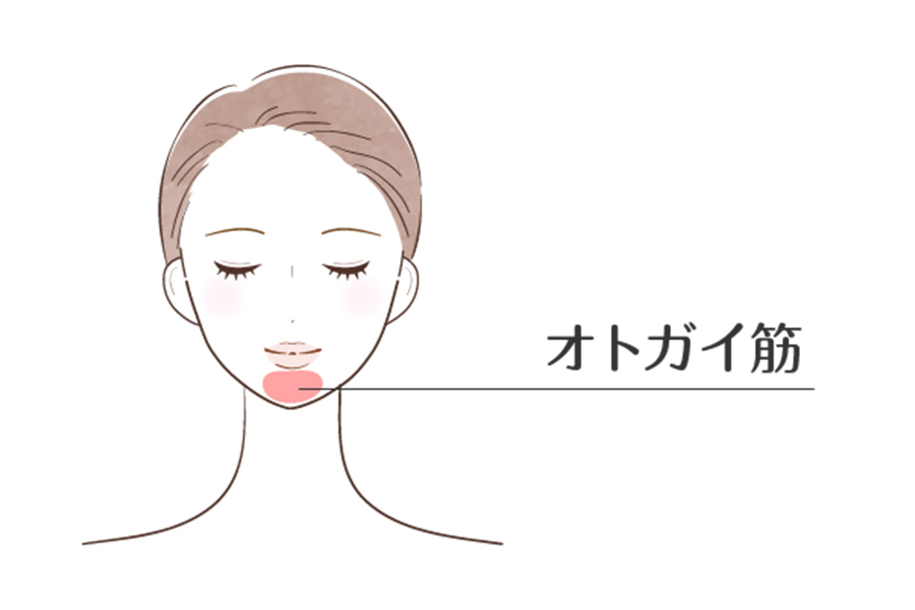 オトガイ(顎の梅干し皺)